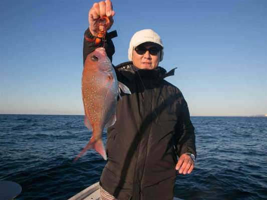 序盤からマダイのヒットが続く。 ©釣りビジョン