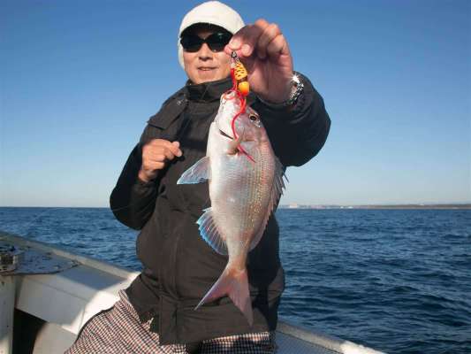 このサイズの活性が高くタイラバに好反応。 ©釣りビジョン