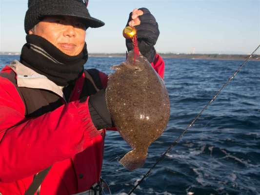 ガンゾウビラメが上がった。 ©釣りビジョン