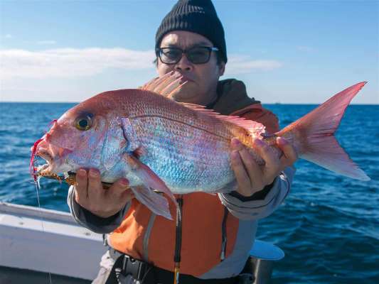 これもよいサイズのマダイ。 ©釣りビジョン