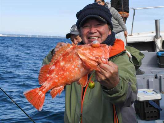 型がよいウッカリカサゴ。 ©釣りビジョン