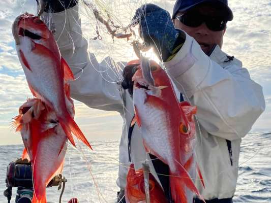 1年中、キンメダイを狙っている下田須崎港「番匠高宮丸」。出船から1時間で新島沖へ。20本針を使用しミヨシから投入していく。1日に投入できる回数はわずか8回！激しい波でアタリの取りづらい中、田渕雅生が見せてくれた。これぞ深海釣りの醍醐味〝提灯行列〟！キンメが列をなし上がってくる光景は圧巻！©釣りビジョン