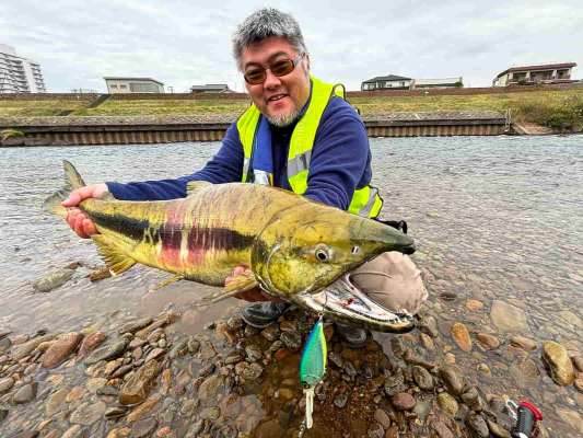 昨年の11月にディープクランクで釣った78cmのオス。ルアーはキックバッカ―（DEPS）。 ©横沢鉄平