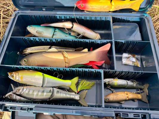 準備してきたビッグベイト。スライドスイマーとジョイクロ中心で、タイニークラッシュやニンジャグライダーも用意した。使うときにはシングルフックに交換。 ©横沢鉄平