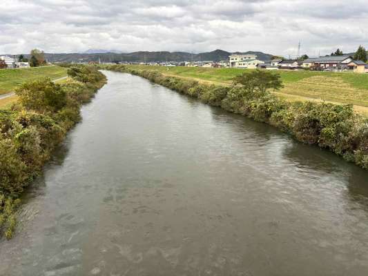 新潟県三条市を流れる五十嵐川。今回は雨の影響なのか、やや水量多めで濁りも入っていた。 ©横沢鉄平