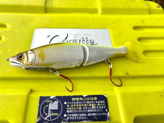 ジョインテッドクロー178（ガンクラフト）のドリフト釣法は、なんと1時間に4度もサケが喰ってきた！ ©横沢鉄平