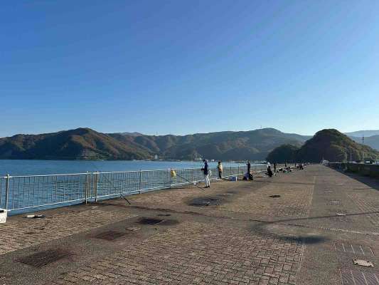 今回訪れたのは鞠山海遊パーク。敦賀新港のフェリー乗り場の横にある魚釣り護岸。柵があり、安全に釣りができる。トイレも自販機もある。 ©望月俊典