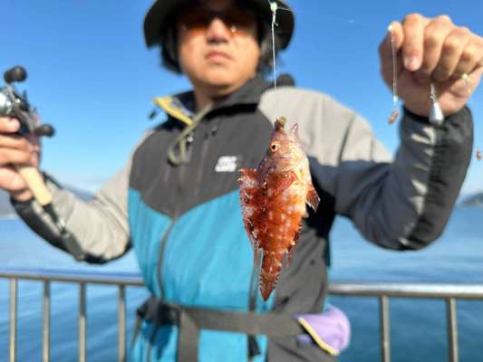 序盤によく釣れたのが、オハグロベラ（？）。なんとなくあんまり美味しそうに見えないので、全部リリースした。 ©望月俊典