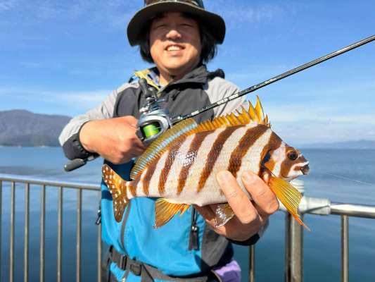 カワハギタックル的にはだいぶ大物、タカノハダイも釣れた。 ©望月俊典