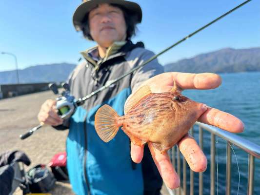 そして、2匹目のカワハギ！納得の納竿サイズだ。 ©望月俊典