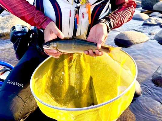 今季最大は利根川29.0cm！来年こそは尺鮎を！ &copy;釣りビジョン
