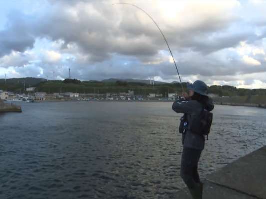 シャクリの高さは出にくくなるが、ウネリ、風共に強い時に有効とのシンキングタイプのPEへ変更し、夕マヅメの1杯を狙う。エギはエギ王Kクラクラウッディー3.0号を使用。そして、ウネリに引かれている時は、エギの姿勢を整えるチャンス！逆に、押されている時は根掛かったりするのでアクションを入れ、ラインテンションを抜かないようにと！「波の高い状態で釣れるのはエギンガーとして凄く嬉しい！」と川上も笑顔に！&copy;釣りビジョン