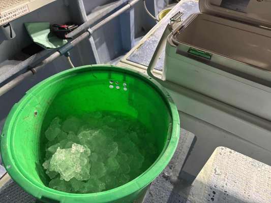 氷の入っていた緑の桶はイワシ用、黄色い桶は釣果用。 &copy;釣りビジョン