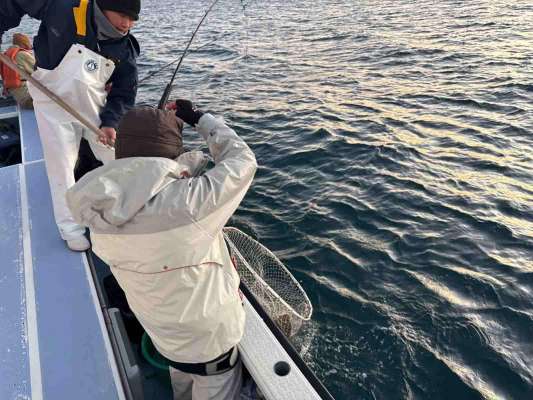 連続バイトに中乗りさんも大忙し！ &copy;釣りビジョン