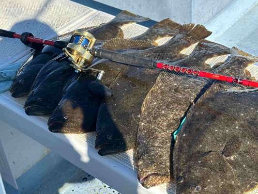 浅場で数も型も期待出来る、入門の好機到来！ &copy;釣りビジョン