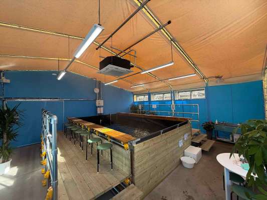 水深や椅子の高さまで台湾の釣り堀を再現。日本にいながら、本場・台湾スタイルの釣りを体験できる。 &copy;釣りビジョン