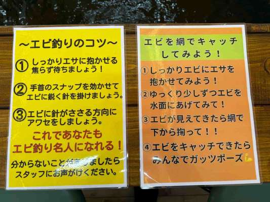 エビの釣り方は席ごとに分かりやすく説明が掲示されており、迷うことはなかった。分からない点があればスタッフに声をかけると、すぐに丁寧に教えてくれるのも心強い。 &copy;釣りビジョン