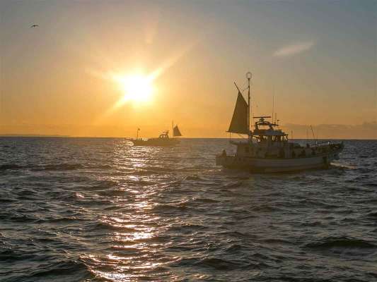 御来光の中、イカの反応を探す。 &copy;釣りビジョン