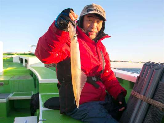 良型のヤリイカが釣り上げられた。 &copy;釣りビジョン