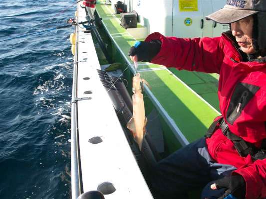 カスタムされたスッテでキャッチ。 &copy;釣りビジョン