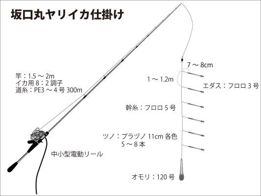 『坂口丸』ヤリイカ仕掛け図。 &copy;釣りビジョン