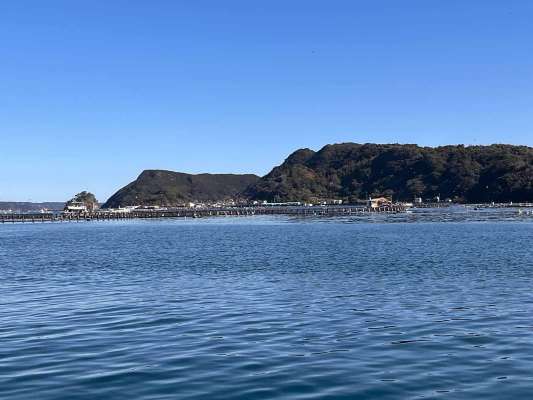 釣り場の向かいには大島！目の前には養殖イカダが多数。ここではマグロの養殖も行われている。このイカダに様々な魚が寄ってくるとのことだ。 &copy;釣りビジョン