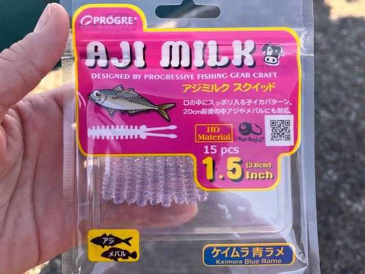 アジが小さめと言うことでこちらのワームから！PROGREアジミルクスクイッド！フックの下部は柔らかく動きが出る深リブ。 &copy;釣りビジョン