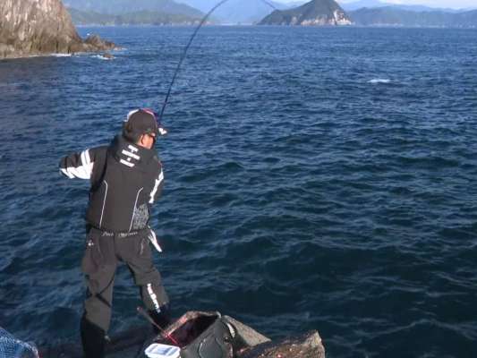 強烈な引きに竿がしなる！巧みな竿捌きで釣り上がってきたのは38cmの尾長グレ。&copy;釣りビジョン
