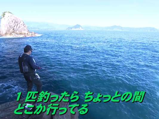 途中、撒き餌をすると10匹近いシイラが寄ってくるとんでもない状況に。それでも「（シイラを）1匹釣ってリリースしたら、その後数投の間は（シイラが）いなくなる」と冷静に分析。そしてその短い時間に、本命らしき魚を見事にヒットさせるシロモッチ！上がってきたのは43cmの口太グレだった。&copy;釣りビジョン
