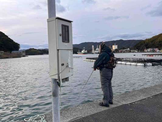 数が出ると言うポイントへ！予報通り北西風が吹き荒れる宿毛！陽の高い時間は当たりも無く悶絶！寒さで耳が痛い！ &copy;釣りビジョン