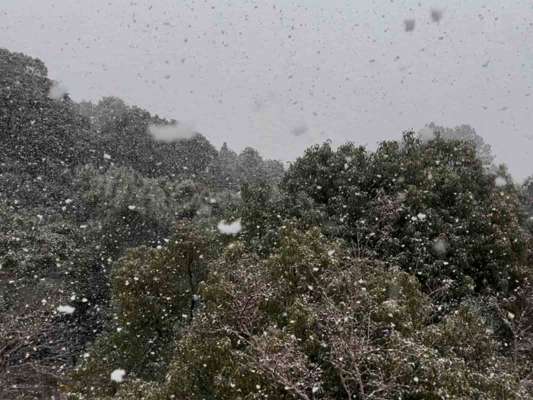 寒さは時間と共に増し、次の日高知県西部の町には雪が舞った。 &copy;釣りビジョン