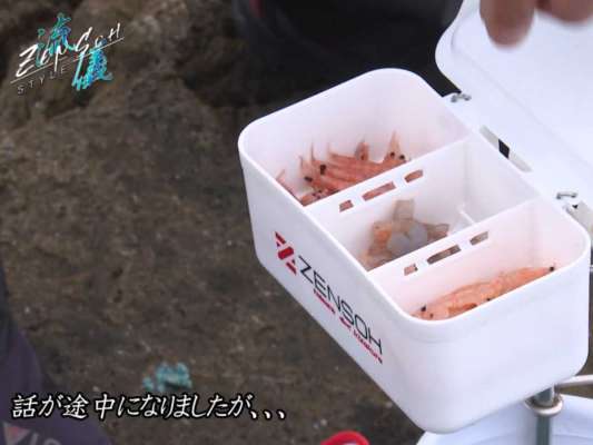 最初のヒットは25cmほどの尾長グレ。付けエサは生・加工・ハード系・むき身・ボイルなど幅広く試す。