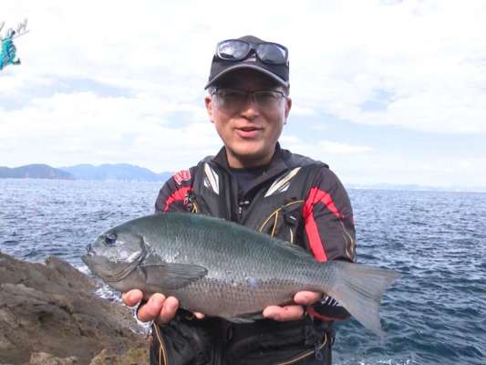 瀬替わり直後、強烈なアタリをキャッチ。巧みなロッドワークで根をかわし、40cmオーバーの口太グレを手にする。