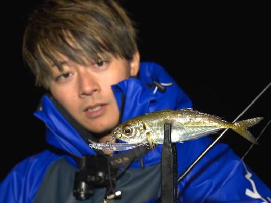 島の東側にある大きな漁港へ移動。消波ブロックに常夜灯、沖にはしもりが点在するポイント。高橋は「ブローウィン50s」を使ってアジを連発させる。これを見てあずあずもプラグで挑戦！高橋の教え通りにすると待望のアジがヒット！「プラグでアジを釣ったのは初めて」と笑顔が溢れる。小さくても鋭い引きの〝大島アジ〟に歓喜するあずあずの様子は動画でチェック！&copy;釣りビジョン