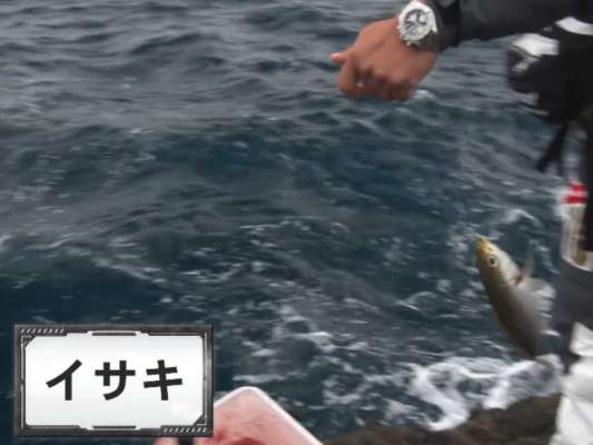 ヒットしたのはイサキ。グレより下層にいる魚の登場からタナのズレを読み解く。
