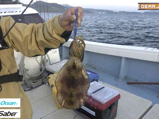 番組内ではあゆちぃと太田さんが釣りまくっているぞ！