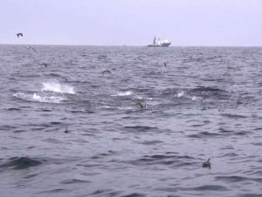 当日は、朝から鳥山がたつ最高の状態にあった。