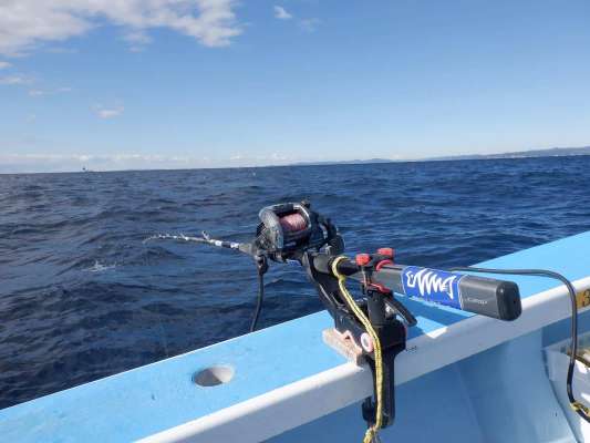 イカ用ロッドは粘りがあり、サバ釣りにも流用可能。 &copy;釣りビジョン