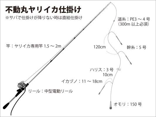 『不動丸』ヤリイカ仕掛け図。 &copy;釣りビジョン