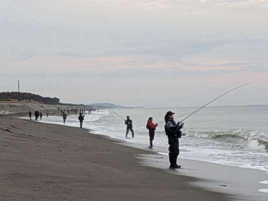 さすが宮崎と言えばオオニベ！海岸には多くのアングラーの姿が見られた。オオニベが産卵のために接岸するのは12月から1月にかけて。しかしベストシーズンとはいえ、おいそれと釣れる魚ではない。何もなく釣れないことのほうが当たり前。でも、もしかしたら。そんな期待と不安が交錯する。それこそギャンブルの釣り〝オオニベ釣り〟だという。ちなみに、1mを越えるとオオニベ、80〜90cmをチュウニベ、50〜60cmをコニベと呼ぶそうだ。&copy;釣りビジョン