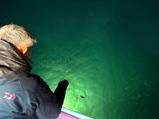 集魚灯に映えるマルイカのシルエットが美しい。 &copy;釣りビジョン