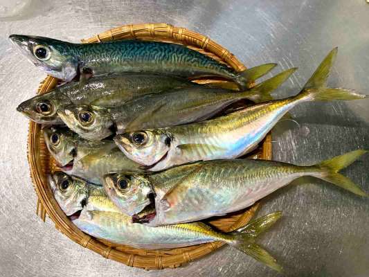 ひとときの幸。 &copy;釣りビジョン