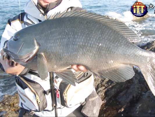 パターンを完全に掴み、40cmオーバーを仕留める会心の一尾！これは映像でぜひ観ていただきたい！