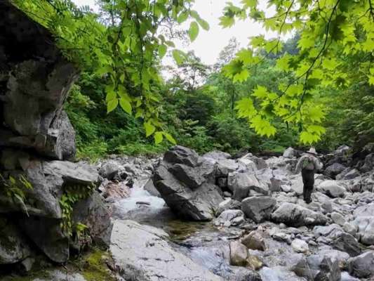 日本の山岳渓流ファン好みのセレクト。実践的な内容で夏が待ち遠しくなる。