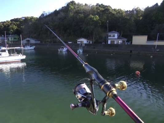 今回、おねぃさんが使用したロッドはティップラン専用ロッド「SEA SOUNDS」。メタル（チタン）ティップで、感度を落とさず柔らかいのが特徴。目感度、手感度ともに抜群だとか！また、カーボングリップで高強度素材ボロン繊維が採用されているこだわりのロッドとなっている。特にボロンを採用したことにより手感度を良くし、明確なアタリが出るので、初心者ほど使ってほしいと尾田は言う。めちゃくちゃ作り込まれたこのロッドは今秋発売予定だ。&copy;釣りビジョン