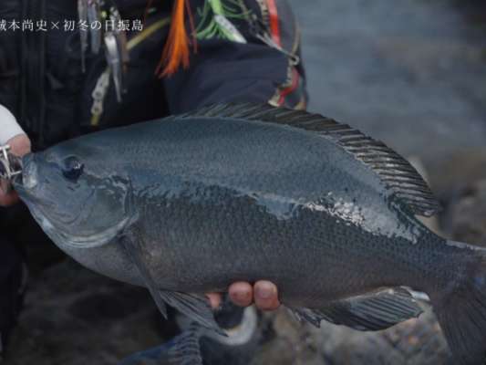 見事大型グレをキャッチした城本氏！流石の一言に尽きる。