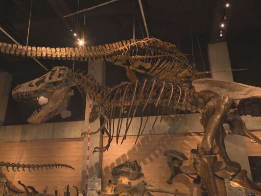 番組オープニングは恐竜博物館の中で。時間があればゆっくりと見たかった！&copy;釣りビジョン