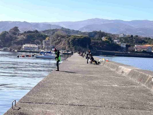 ヤエンにフカセ、サビキ、ライトゲームと多くの釣り人で賑わった。 &copy;釣りビジョン