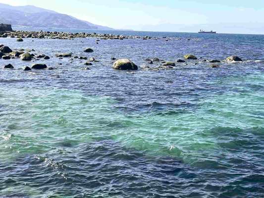 堤防付け根付近の石が点在する場所では反応が良好。 &copy;釣りビジョン