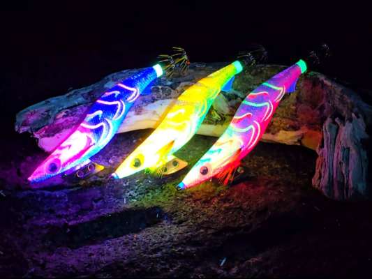 「エギ王Kネオンブライト」に新色が登場。紫外線を受けて発光するネオンブライト。新色は、ケイムラ（青の紫外線発光）に加えて、緑、赤の紫外線発光が追加となった。柄の紫外線発光とボディの紫外線発光が期待できる。サイトフィッシングに特化したカラーで、甑島は水が澄んでいるのでイカの追尾も確認しながらできればとチョイス。ラストチャンスで手にした良型は、「ネオンブライト レッドメラメラパロット」で釣りあげた。 &copy;釣りビジョン